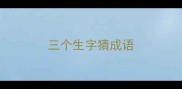 三个生字猜成语
