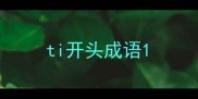 ti开头成语