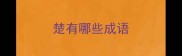 楚有哪些成语