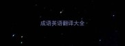 成语英语翻译大全