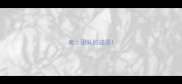 表示团队的成语