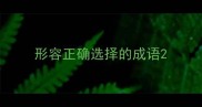 形容正确选择的成语