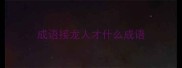 成语接龙人才什么成语
