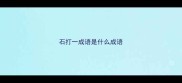 石打一成语是什么成语