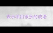 表示项目很多的成语
