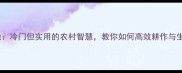锄头落地冷门但实用的农村智慧教你如何高效耕作与生活哲理