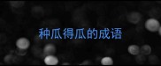 种瓜得瓜的成语