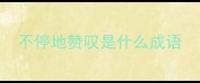 不停地赞叹是什么成语