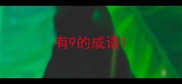有9的成语