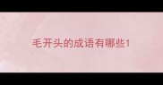 毛开头的成语有哪些