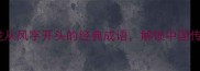 成语接龙从风字开头的经典成语解锁中国传统文化智慧