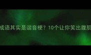 爆笑这些成语其实是谐音梗10个让你笑出腹肌的冷知识