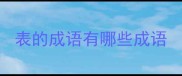 表的成语有哪些成语