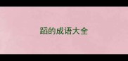 蹈的成语大全