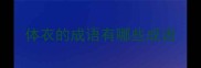 体衣的成语有哪些成语