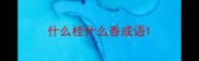 什么桂什么香成语