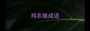 鸡衣服成语