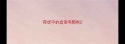带虎字的成语有那些