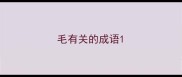 毛有关的成语
