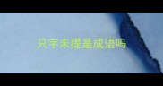 只字未提是成语吗