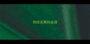 持续发展的成语