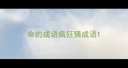 命的成语疯狂猜成语