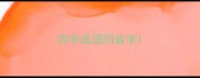 四字成语同音字