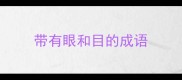带有眼和目的成语