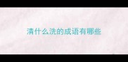 清什么洗的成语有哪些