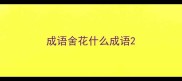 成语舍花什么成语