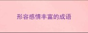 形容感情丰富的成语