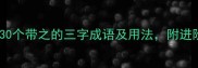之字成语全30个带之的三字成语及用法附进阶学习攻略