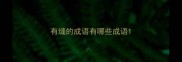 有缝的成语有哪些成语