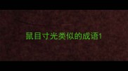 鼠目寸光类似的成语