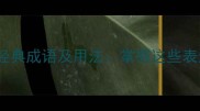 10个包含喜字的经典成语及用法掌握这些表达让语言更生动