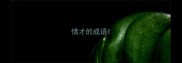 惜才的成语
