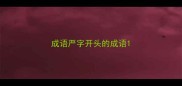 成语严字开头的成语