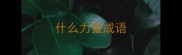 什么力量成语