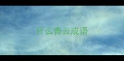 什么青云成语
