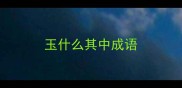 玉什么其中成语