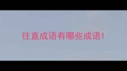 往直成语有哪些成语