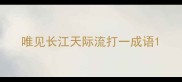 唯见长江天际流打一成语