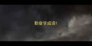 勤奋学成语