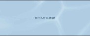 大什么什么成语