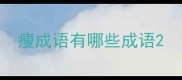 瘦成语有哪些成语